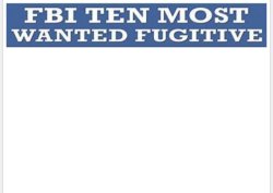 Most wanted Meme Template