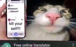 Online translator Meme Template