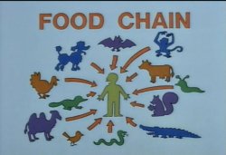 Food chain Meme Template