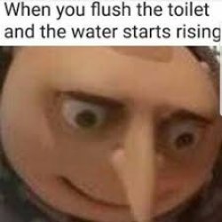 When you flush the toilet Meme Template