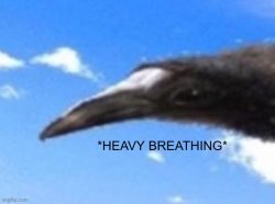 Heavy breathing bird Meme Template