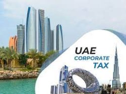 Dubai corporate tax Meme Template