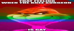 when the knee surgeon is gay Meme Template