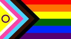 gay flag Meme Template