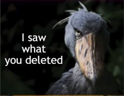 Bird I saw what you deleted- Meme Template