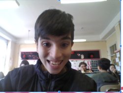 little ant Meme Template