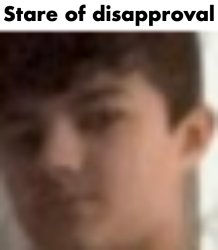 Lucotic stare of disapproval Meme Template