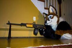 foxy AK-47 Meme Template