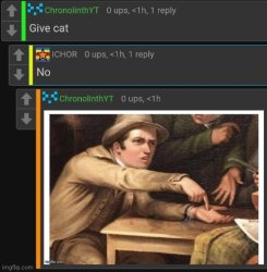 Cat. Now Meme Template