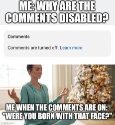 ME: WHY ARE THE COMMENTS DISABLED? ME WHEN THE COMMENTS ARE ON: Meme Template