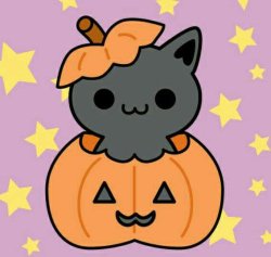 kitty in pumpkin Meme Template