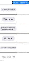 Can I copy your homework but smaller squares Meme Template