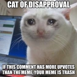 Cat of disapproval Meme Template