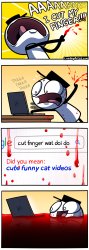 Funny cat videos Meme Template