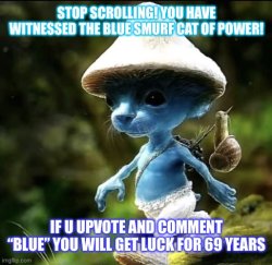 STOP SCROLLING! YOU HAVE WITNESSED THE BLUE SMURF CAT OF POWER! Meme Template