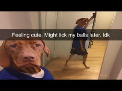 Balls Meme Template