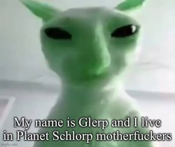 My name is Glerp and I live in Planet Schlorp motherf**kers Meme Template
