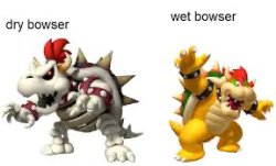 Wet bowser Meme Template