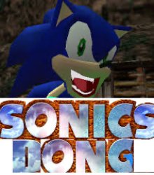 Sonics dong Meme Template