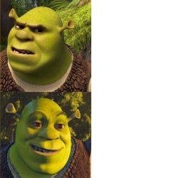 Shrek Drake Meme Template