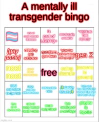 a mentally ill transgender bingo Meme Template