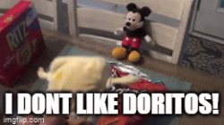 I DONT LIKE DORITOS Meme Template