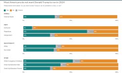 Independents voting election Trump 2024 JPP Meme Template