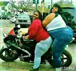 fat chicks on a motorcycle Meme Template