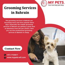 Grooming Services in Bahrain Meme Template