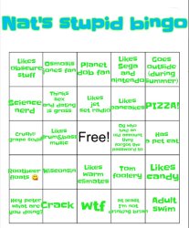 Nat's stupid bingo Meme Template