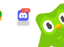 Duolingo hacked my discord Meme Template