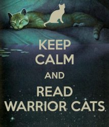 Read the warrior Cats Today Meme Template