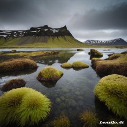 iceland Meme Template