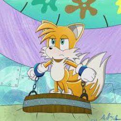 Free tails Meme Template