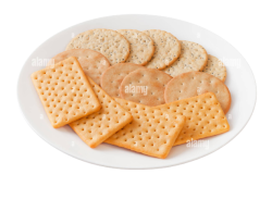 A Plate of Crackers Meme Template