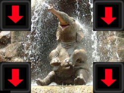 Downvote Elephant, Republican GOP MAGA loser of elections Meme Template