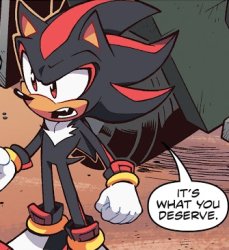 shadow its what you deserve Meme Template