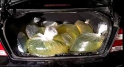 Gas bags in trunk Meme Template
