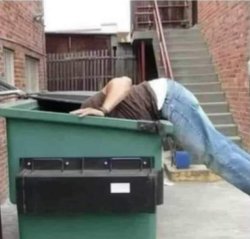 Dumpster Diver Meme Template
