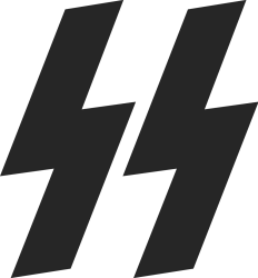 SS Symbol Meme Template