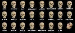 man woman gay straight skull extended Meme Template