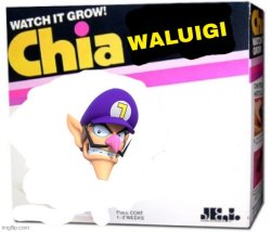 rejected chia pets volume 1 Meme Template