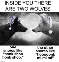 Two wolves Meme Template