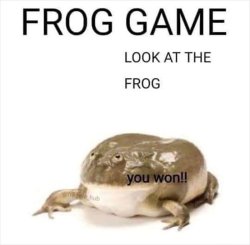 frog game Meme Template