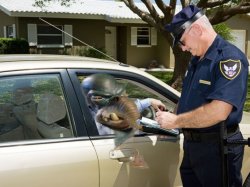 Watto getting pulled over Meme Template