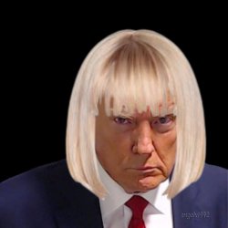 trump Meme Template
