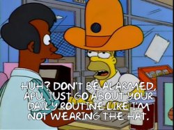 Homer Simpson Spy Hat. Meme Template