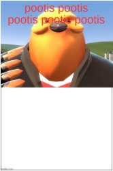 pootis bird annoys this character Meme Template