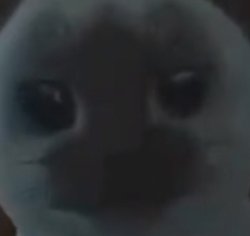 He’s so portugeese Meme Template