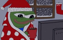 Happy Christmas Frog Meme Template